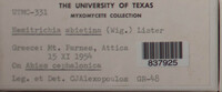 Image Associated With the Occurence